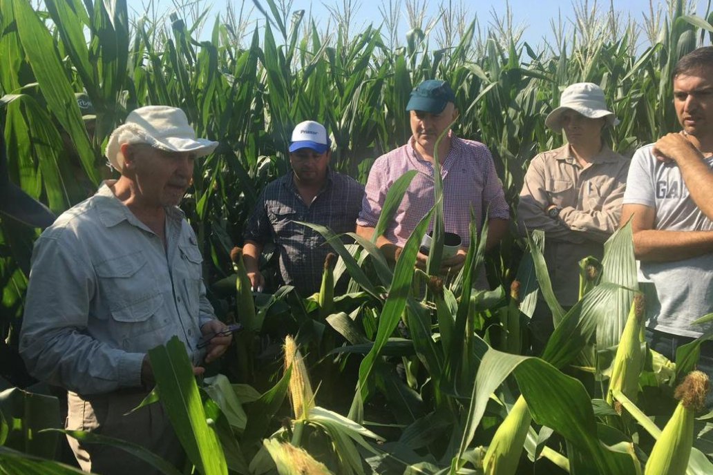 La Red Agropecuaria de Vigilancia Tecnológica (RAVIT) se reunió en Córdoba