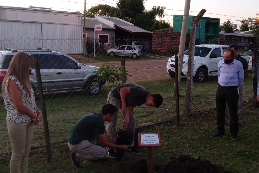 Un árbol y una placa dan cuenta, en la escuela, del paso de Miguel por la vida.