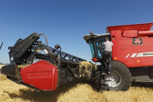 En Hinojal, Luis Kerps trilla 6.000 kilos de trigo por hectárea