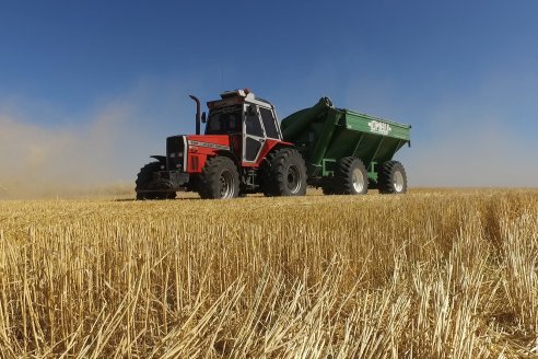 En Hinojal, Luis Kerps trilla 6.000 kilos de trigo por hectárea