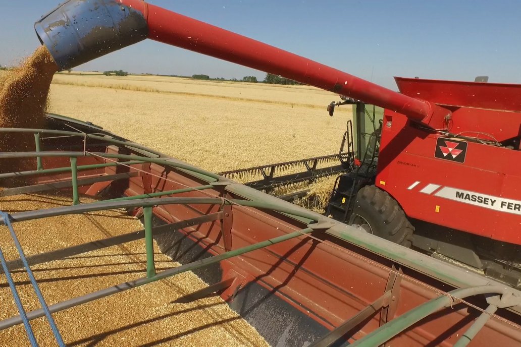 Se vendieron 83,2 millones de toneladas de trigo, maíz, sorgo, soja, girasol.
