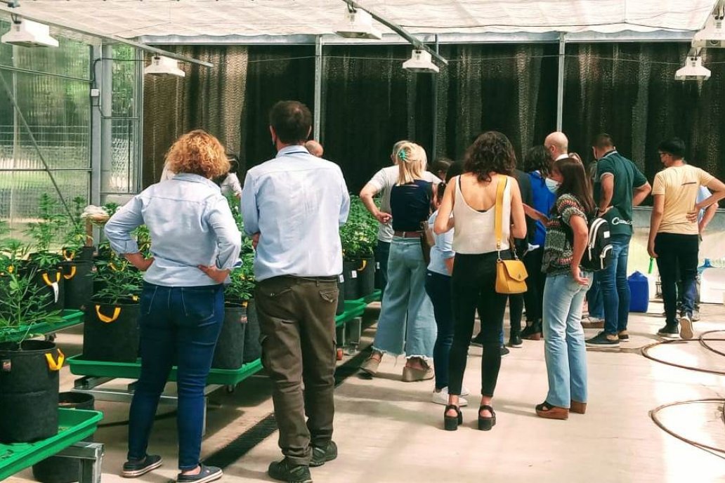 Funcionarios visitaron la sede del proyecto de cannabis, en Pergamino. Funcionarios visitaron la sede del proyecto de cannabis, en Pergamino.