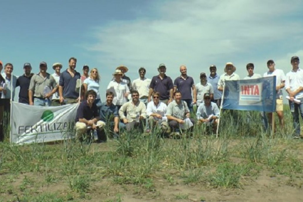 Ensayos en conjunto con INTA, CONICET y las Facultades