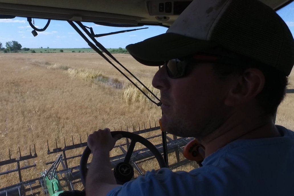 Producen un millar de hectáreas y cada año crecen en superficie ocupada.