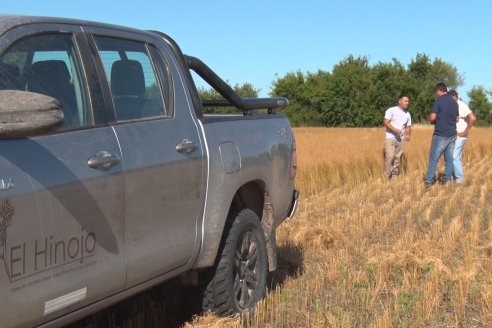 Cosecha de Lino de El Hinojo S.A. en Betbeder, Departamento Nogoyá - E.Ríos