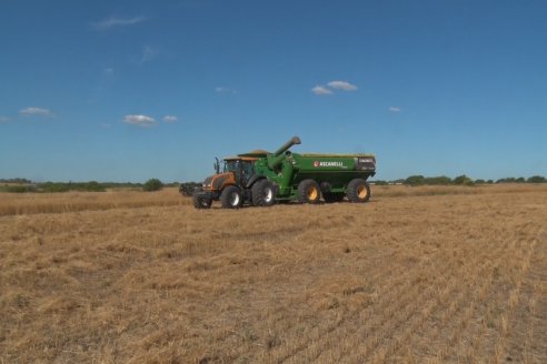 Cosecha de Lino de El Hinojo S.A. en Betbeder, Departamento Nogoyá - E.Ríos