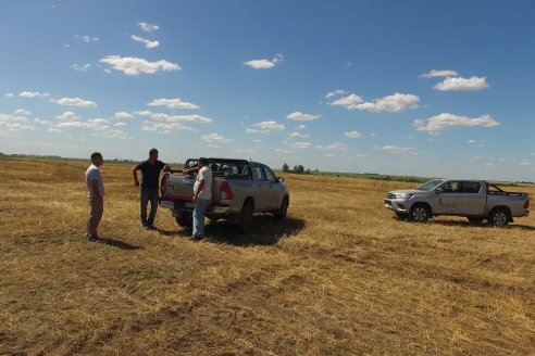 Cosecha de Lino de El Hinojo S.A. en Betbeder, Departamento Nogoyá - E.Ríos