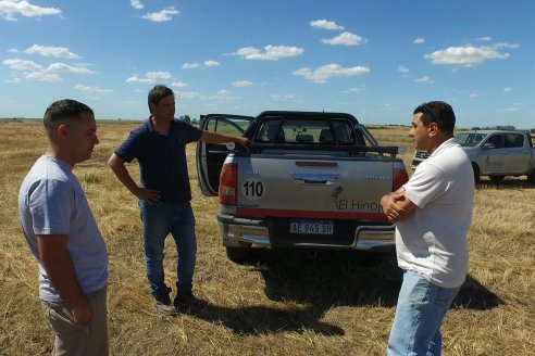 Cosecha de Lino de El Hinojo S.A. en Betbeder, Departamento Nogoyá - E.Ríos