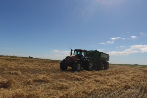 Cosecha de Lino de El Hinojo S.A. en Betbeder, Departamento Nogoyá - E.Ríos