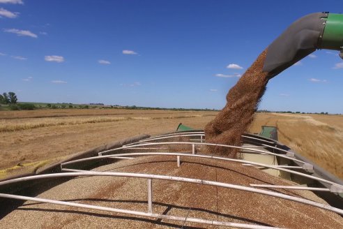 Cosecha de Lino de El Hinojo S.A. en Betbeder, Departamento Nogoyá - E.Ríos