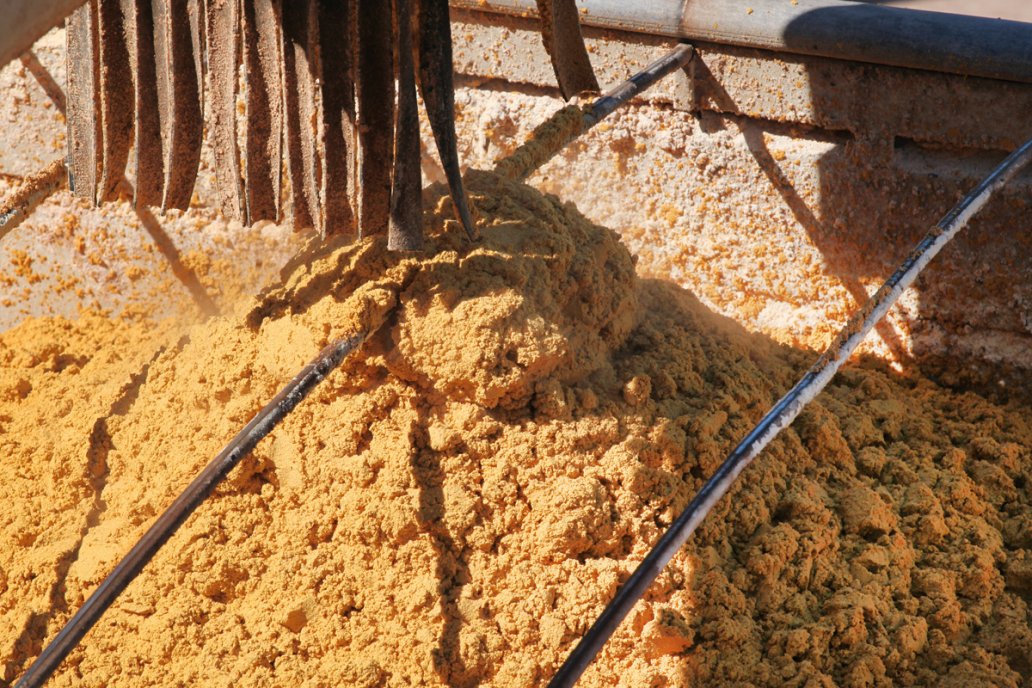 Suplementar granos de destilería en alimentación a pasto es el objetivo.