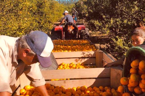 Galardón: citrícola entrerriana ganó el premio nacional Pyme 2021