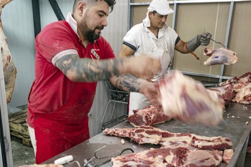 Respaldo político a la distribución de carne vacuna por trozos