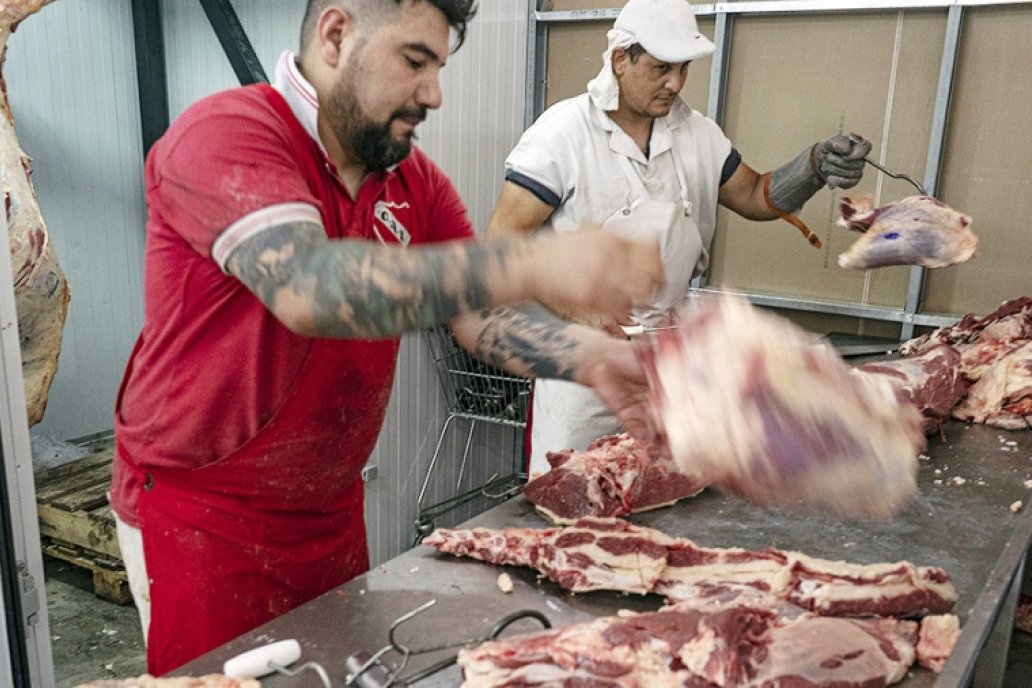 Los carniceros minoristas recibirán su mercadería en piezas de 32 kilos.