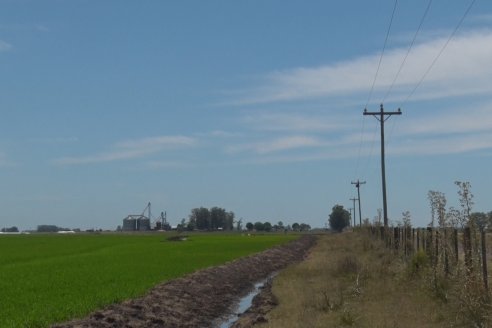 Fertilizadora de arrastre Fertec F5000 Serie 6 se destaca dentro de las arroceras entrerrianas