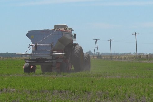 Fertilizadora de arrastre Fertec F5000 Serie 6 se destaca dentro de las arroceras entrerrianas