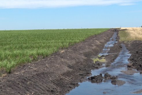 Fertilizadora de arrastre Fertec F5000 Serie 6 se destaca dentro de las arroceras entrerrianas