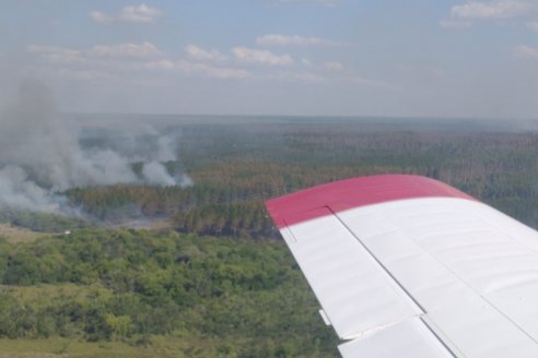Logran frenar y controlar los incendios en el Parque El Palmar
