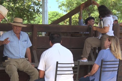 Con la jornada de admisión, se puso en marcha la Séptima Prueba Pastoril Angus del Litoral