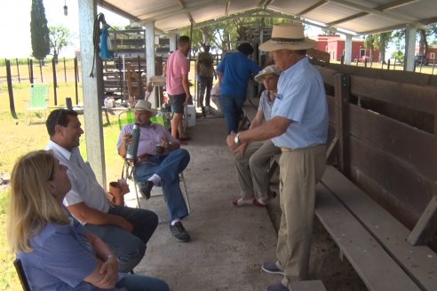 Con la jornada de admisión, se puso en marcha la Séptima Prueba Pastoril Angus del Litoral