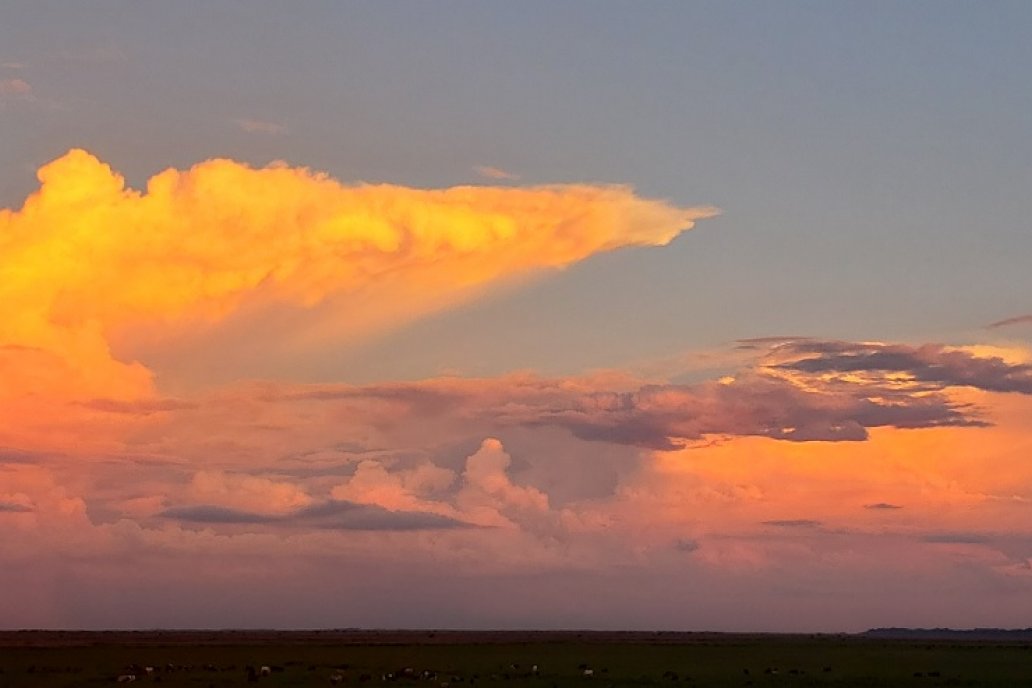Desde el cielo se deja ver que los cultivos no recibirán precipitaciones.