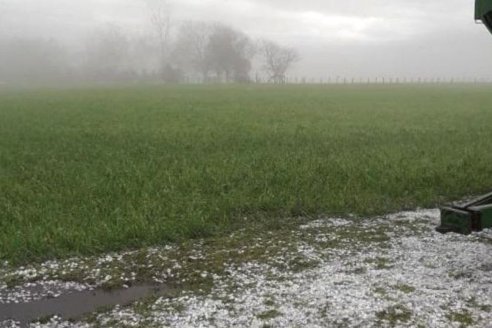 Es razonable esperar lluvias moderadas al despuntar septiembre