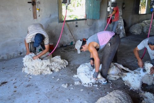 Estancia La Angelica -  Zafra 2021 - Tiempo de Esquila en el norte entrerriano