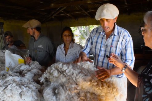 Estancia La Angelica -  Zafra 2021 - Tiempo de Esquila en el norte entrerriano