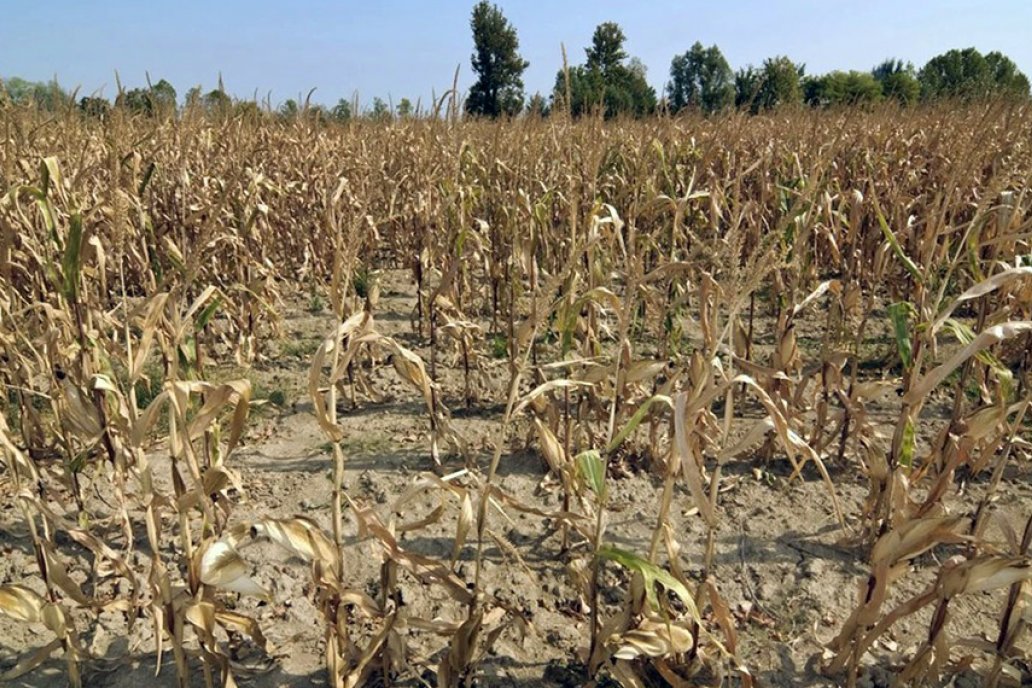 La persistencia de La Niña fundamenta una acción paliativa, dicen desde el CAA. La persistencia de La Niña fundamenta una acción paliativa, dicen desde el CAA.