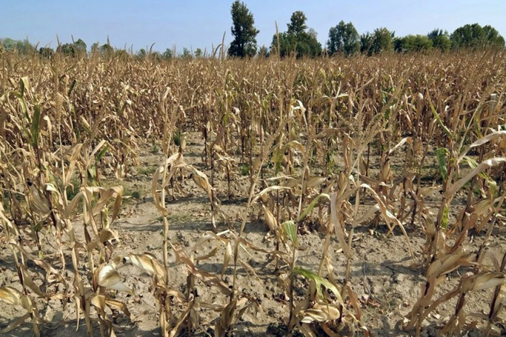 La persistencia de La Niña fundamenta una acción paliativa, dicen desde el CAA.