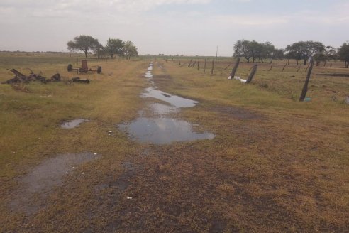 El acumulado de agua caída supera cómodamente los 80 milímetros