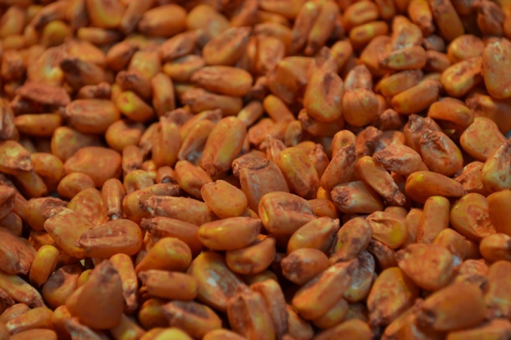 El biopolímero natural y comestible está avalado por organizaciones ambientales