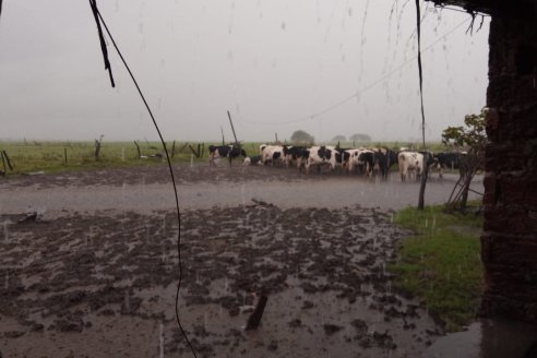 Con 279 milímetros Villaguay pica en punta en materia de agua caída