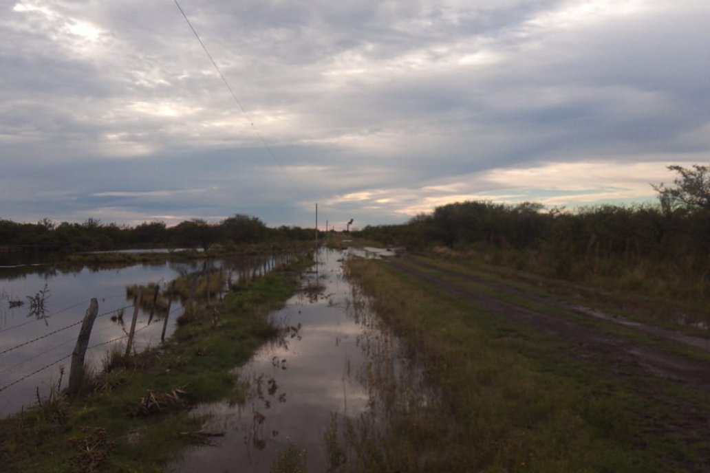 Desde enero la abundancia de agua supera necesidades agronómicas de los campos.