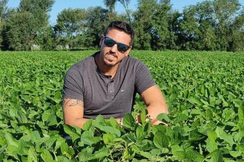 Pulgones de la alfalfa: una plaga que se puede combatir con menos impacto ambiental