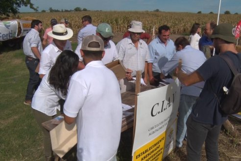 Ensayo Comparativo de Rendimientos en Híbridos de Maiz del Colegio de Ingenieros Agrónomos de Victoria (CIAV)