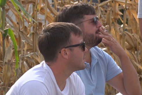 Ensayo Comparativo de Rendimientos en Híbridos de Maiz del Colegio de Ingenieros Agrónomos de Victoria (CIAV)