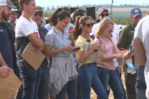 Ensayo Comparativo de Rendimientos en Híbridos de Maiz del Colegio de Ingenieros Agrónomos de Victoria (CIAV)