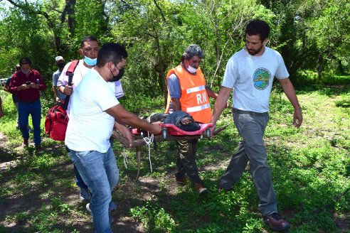 Volvió a su hábitat el yacaré que habían rescatado en una vivienda