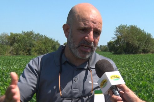 Nicolas Spinelli - Servicio Técnico Syngenta en E.Ríos - Monitoreo de la soja posterior a las últimas lluvias