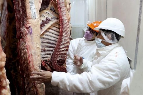 Aduana denunció millonario fraude con venta de carne vacuna