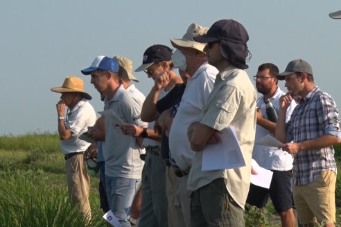 Dia a Campo de Arroz - Fundación PROARROZ - 11 de Febrero 2022