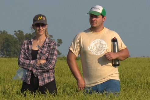 Dia a Campo de Arroz - Fundación PROARROZ - 11 de Febrero 2022