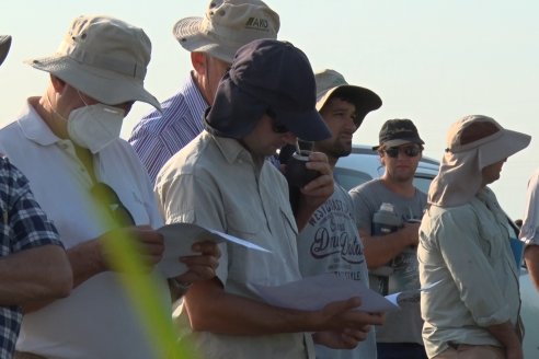 Dia a Campo de Arroz - Fundación PROARROZ - 11 de Febrero 2022