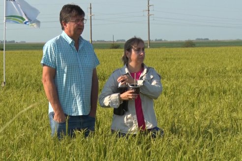 Dia a Campo de Arroz - Fundación PROARROZ - 11 de Febrero 2022