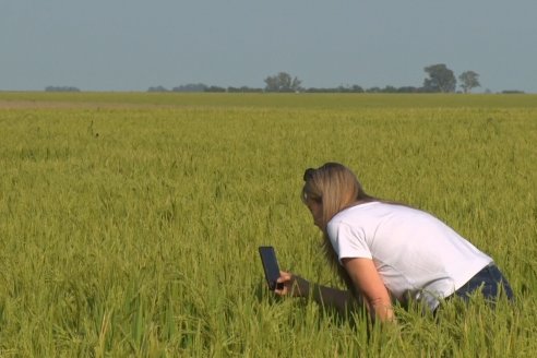 Dia a Campo de Arroz - Fundación PROARROZ - 11 de Febrero 2022