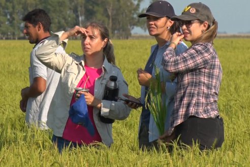 Dia a Campo de Arroz - Fundación PROARROZ - 11 de Febrero 2022