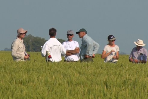 Dia a Campo de Arroz - Fundación PROARROZ - 11 de Febrero 2022