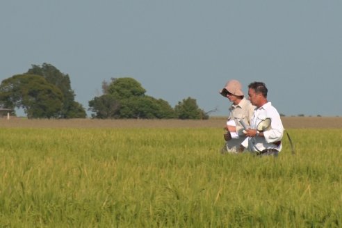 Dia a Campo de Arroz - Fundación PROARROZ - 11 de Febrero 2022