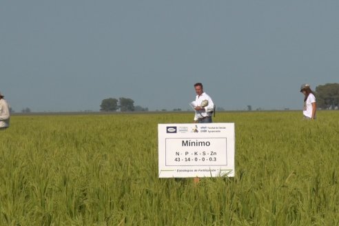 Dia a Campo de Arroz - Fundación PROARROZ - 11 de Febrero 2022